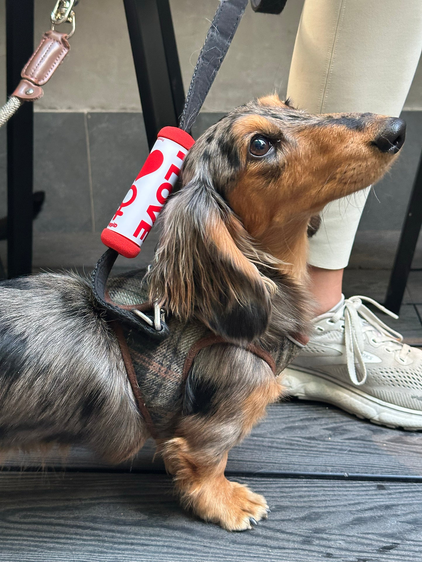 DoggiD LOVE Tag